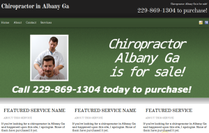 Chiropractor Albany Ga
