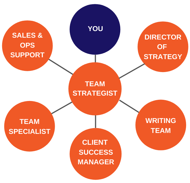 Trusted Positions on our SEO Team