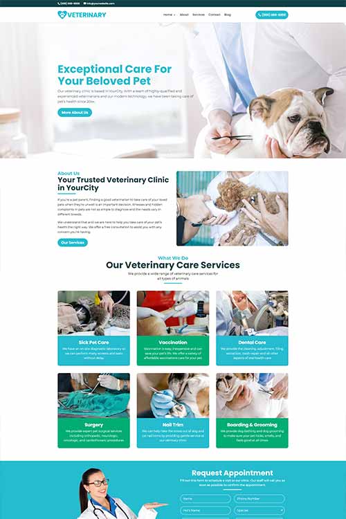 Veterinarian web design #1