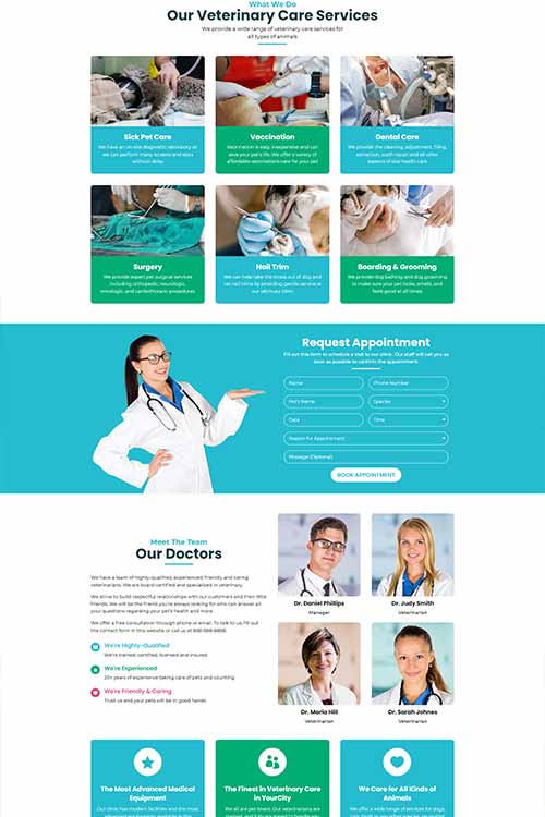 Veterinarian web design #2