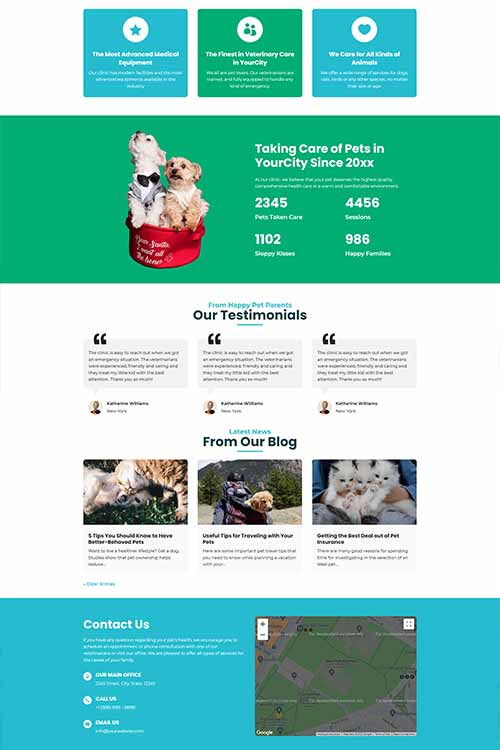 Veterinarian web design #3